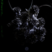 Suddenly I Am Falling