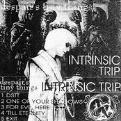 Intrinsic Trip