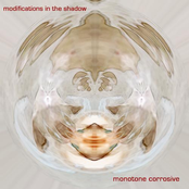 modifications in the shadow