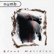 No Time by Numb