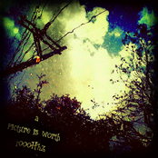 A Picture is Worth 1000Hz