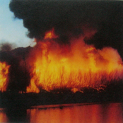 Untitled CDR