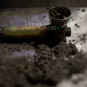 Chemical Gnosis