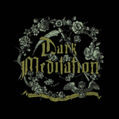 Where the Darkness Bleeds