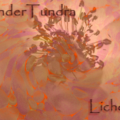 undertundra