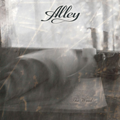 Alley - Coldness