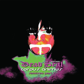 Dead Seal Remixes, Vol 2