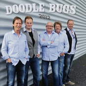 Doodle Bugs