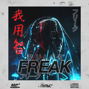 Pulse: FREAK