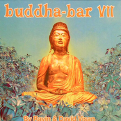 buddha bar vii