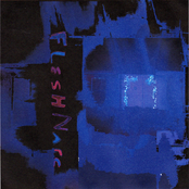 Eyes on the Fabric (Narc Infinitives)