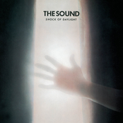 The Sound: Shock of Daylight