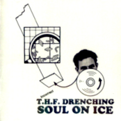 Soul On Ice