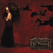 Intervention by In Tenebris