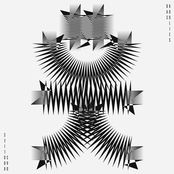 It's All About The Dolphins