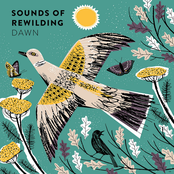 Dawn (Edit)