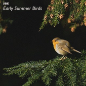 Early Summer Birds Vol. 1