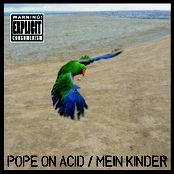 Pope on Acid / Mein Kinder - Split CD-R