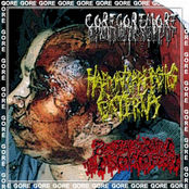 Haematorrhachis Externa / Brutally Raped Till Dismembered / CoreGoreMoreCyberShit