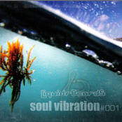 Soul Vibration #001