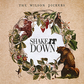 Shake It Down by The Wilson Pickers