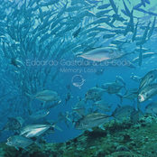 Memory Loss - Single