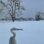 when the snow is fresh, it covers everything