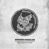 Sifting Through the Wreckage