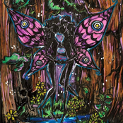 Beauty in the Split of a Butterfly