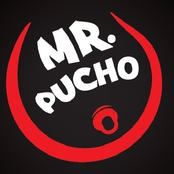 mr. pucho