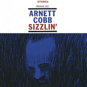 Black Velvet by Arnett Cobb