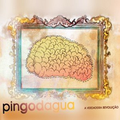 A verdadeira Revolução