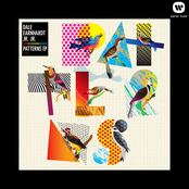 Dale Earnhardt Jr. Jr.: Patterns