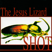 The Jesus Lizard: Shot