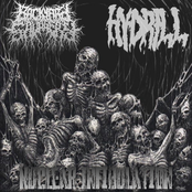 Nuclear Infibulation