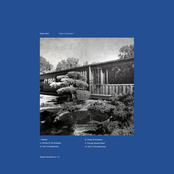 Fields Of Divination