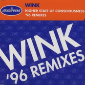 Josh Wink: Higher State of Conciousness (The European Remixes)