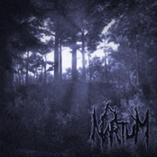 Nartum