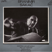 Branimir Sakač