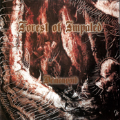 Demonvoid by Forest Of Impaled