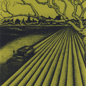 Landscapes And Machines