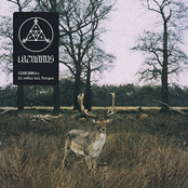 CERNUNNOS: El señor del Bosque