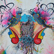 Outline in Color: Outline In Color