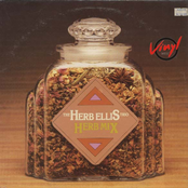 The Girl From Ipanema by Herb Ellis