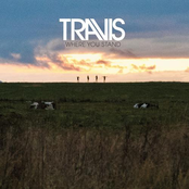 Parallel Lines by Travis