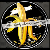 Wonderful You by The Dandy Warhols