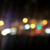 The Pull of The Bulrushes