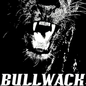 bullwack