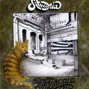 Spettacolo annullato