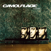 Perfect by Camouflage